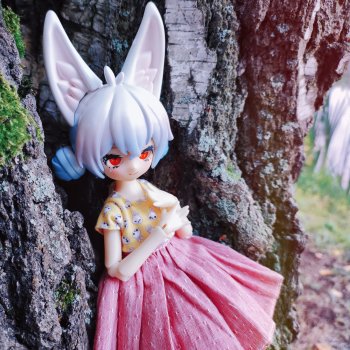 Заячьий выгул