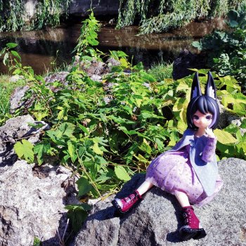 Тепло и солнечно