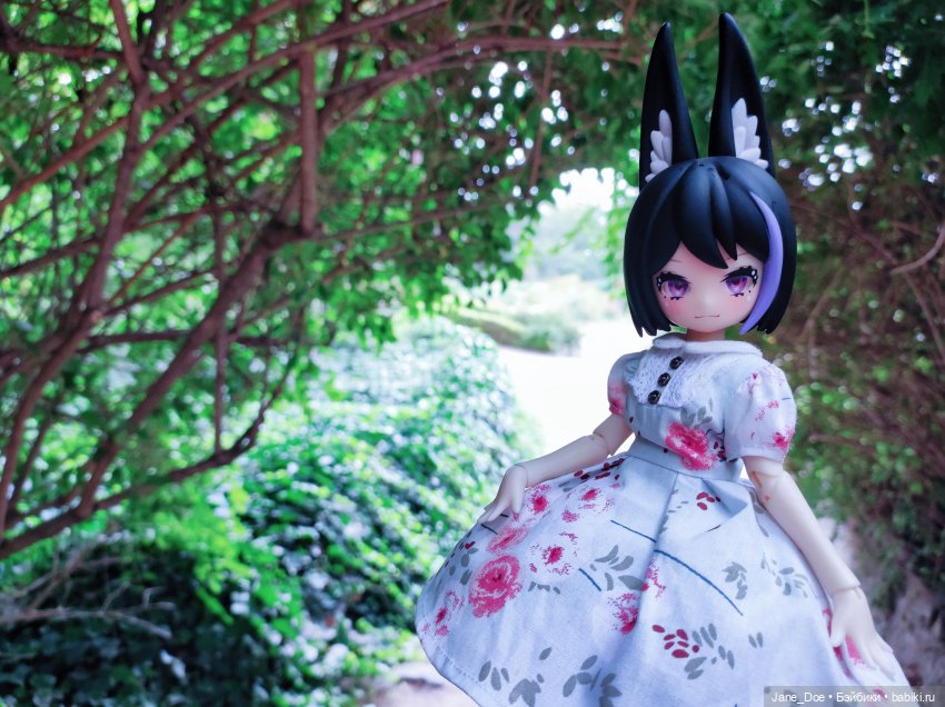 Прогулка по ботаническому саду