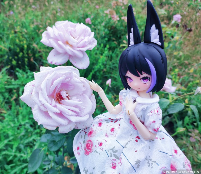 Прогулка по ботаническому саду