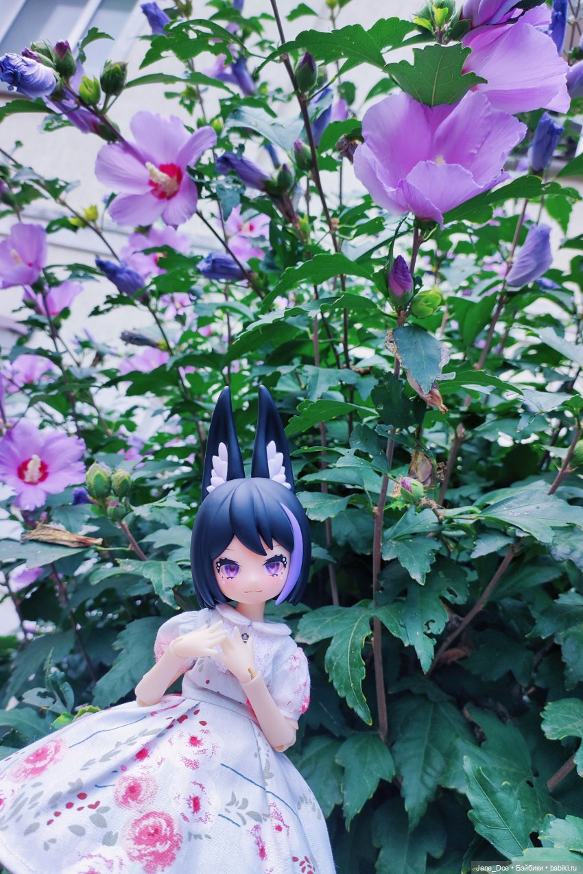 Прогулка по ботаническому саду