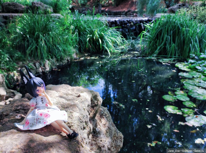 Прогулка по ботаническому саду