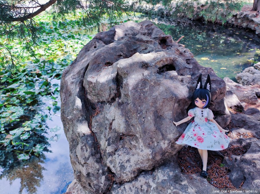 Прогулка по ботаническому саду