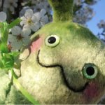 Волшебные Ухоглазы