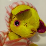 Сонный котик Желток