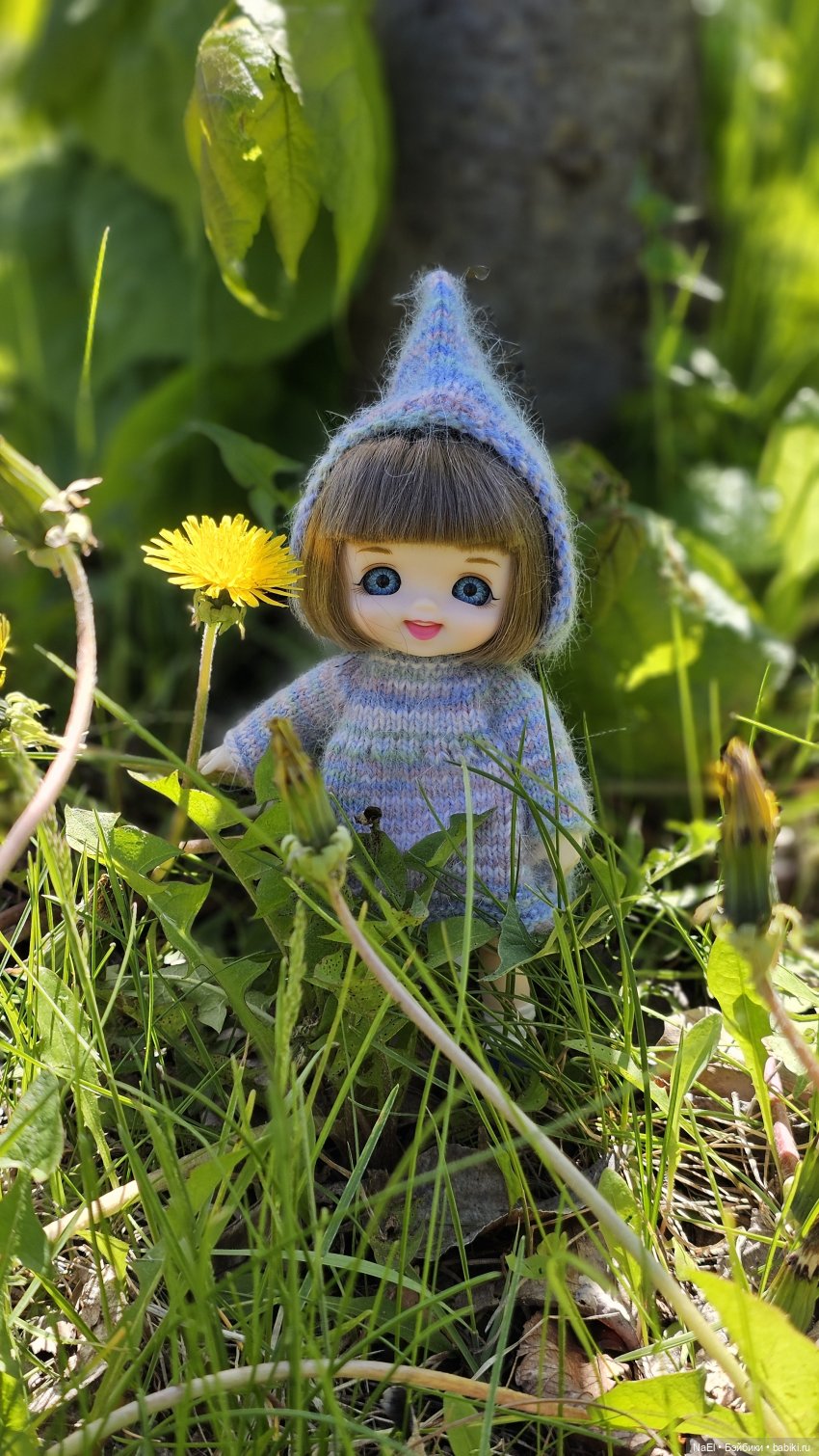 Лесной гном — Куклы Baboliy (Баболи (фото 2)