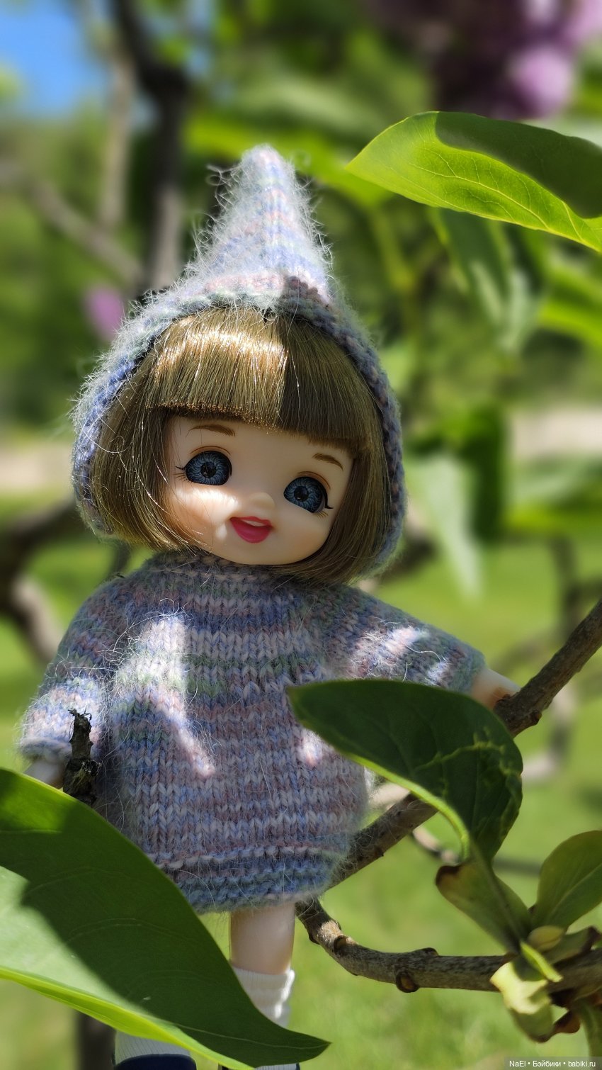 Лесной гном — Куклы Baboliy (Баболи (фото 3)