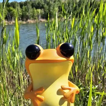 Какой чудесный день, какой чудесный я и песенка моя