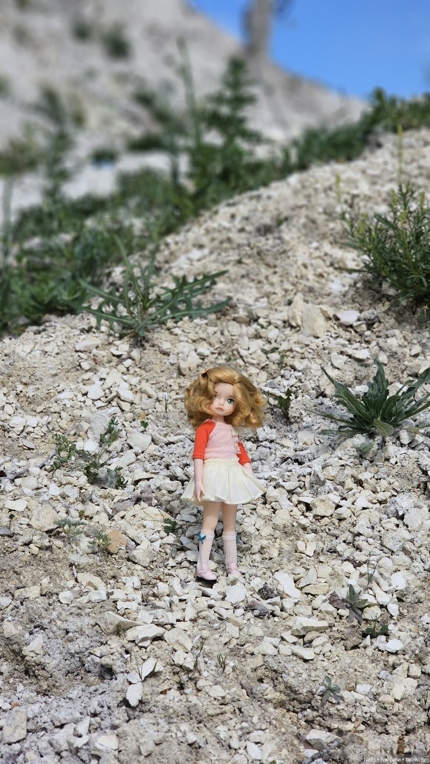 Скалолазка моя — Разные шарнирные куклы (не БЖД): редкие (фото 6)