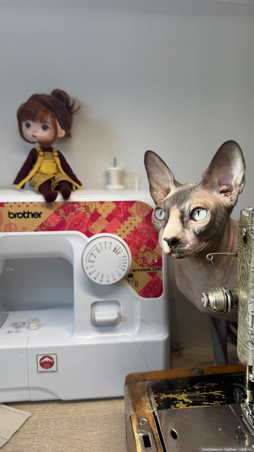 Я и мой кот — Куклы Xiaomi Monst (Сяоми) и Pipitom: шарнирные (фото 5)