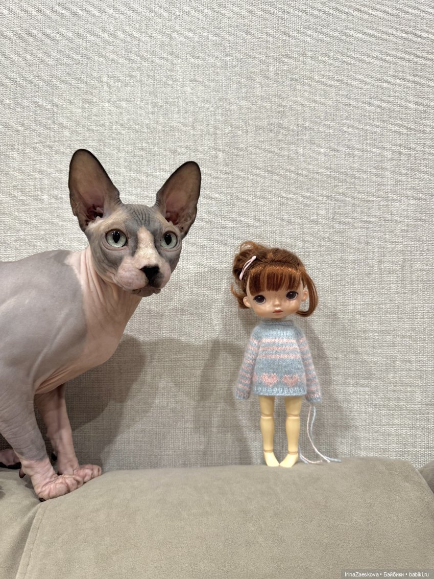 Я и мой кот — Куклы Xiaomi Monst (Сяоми) и Pipitom: шарнирные (фото 4)