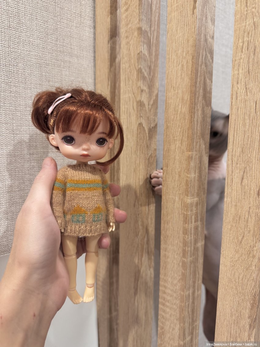 Я и мой кот — Куклы Xiaomi Monst (Сяоми) и Pipitom: шарнирные (фото 3)