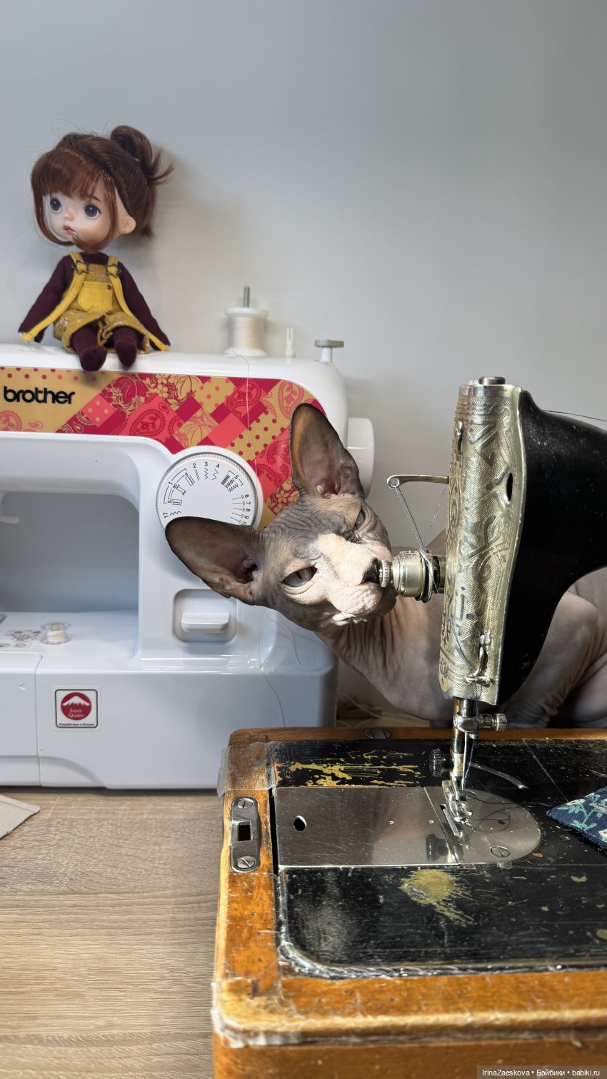 Я и мой кот — Куклы Xiaomi Monst (Сяоми) и Pipitom: шарнирные (фото 6)