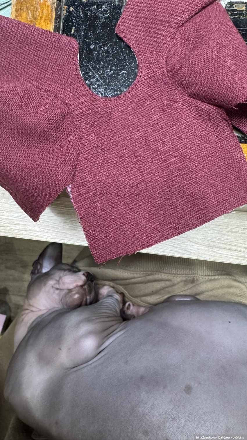 Я и мой кот — Куклы Xiaomi Monst (Сяоми) и Pipitom: шарнирные (фото 2)