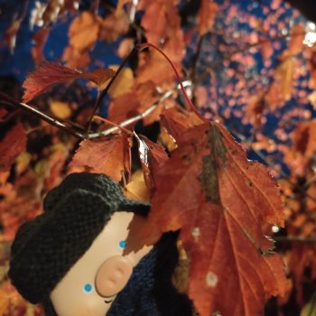 Чуня - скейтбордист, блогер и фотомодель