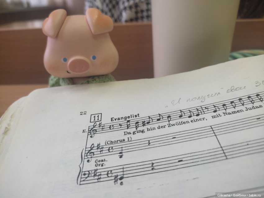 Чуня - блогер - студент. Или как Чуня учиться ездил