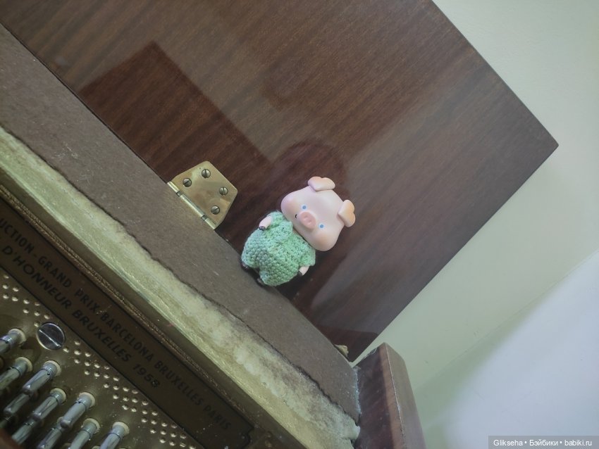 Чуня - блогер - студент. Или как Чуня учиться ездил