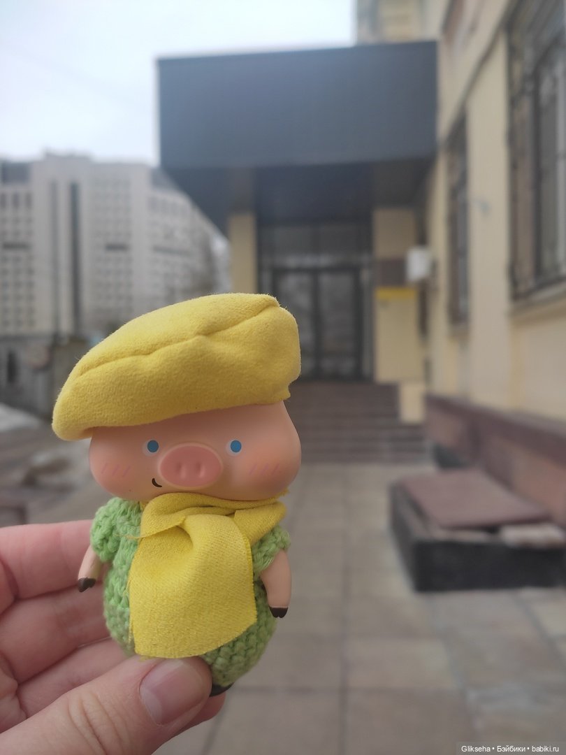 Чуня - блогер - студент. Или как Чуня учиться ездил (фото 8)