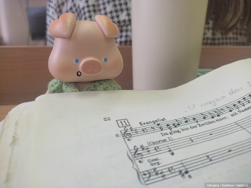 Чуня - блогер - студент. Или как Чуня учиться ездил