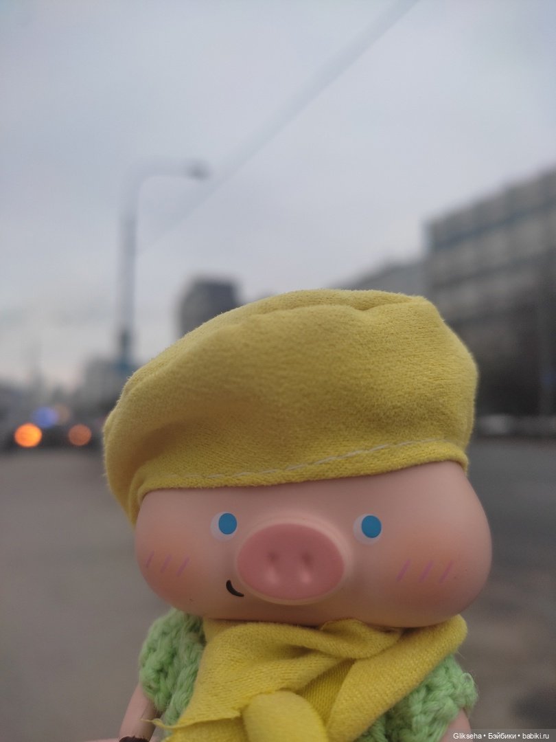 Чуня - блогер - студент. Или как Чуня учиться ездил (фото 7)