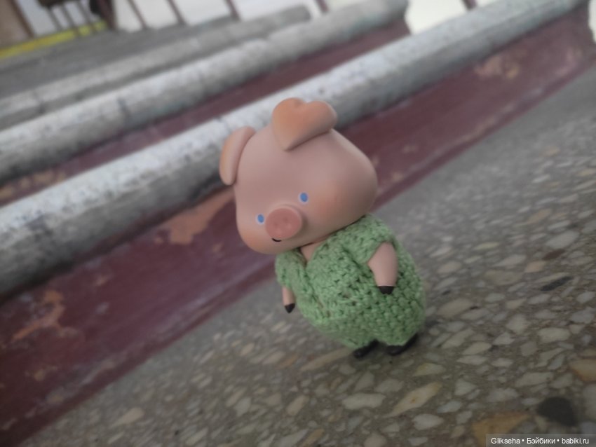 Чуня - блогер - студент. Или как Чуня учиться ездил