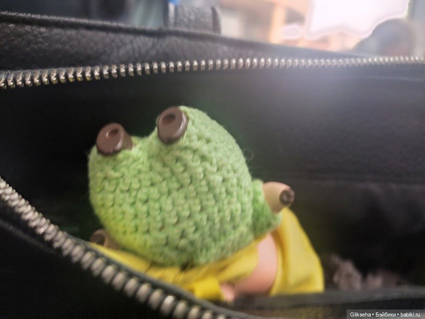 Чуня - блогер - студент. Или как Чуня учиться ездил (фото 3)