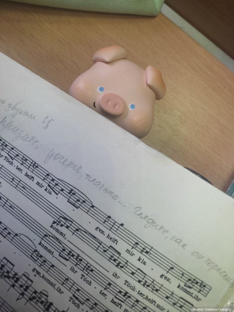 Чуня - блогер - студент. Или как Чуня учиться ездил