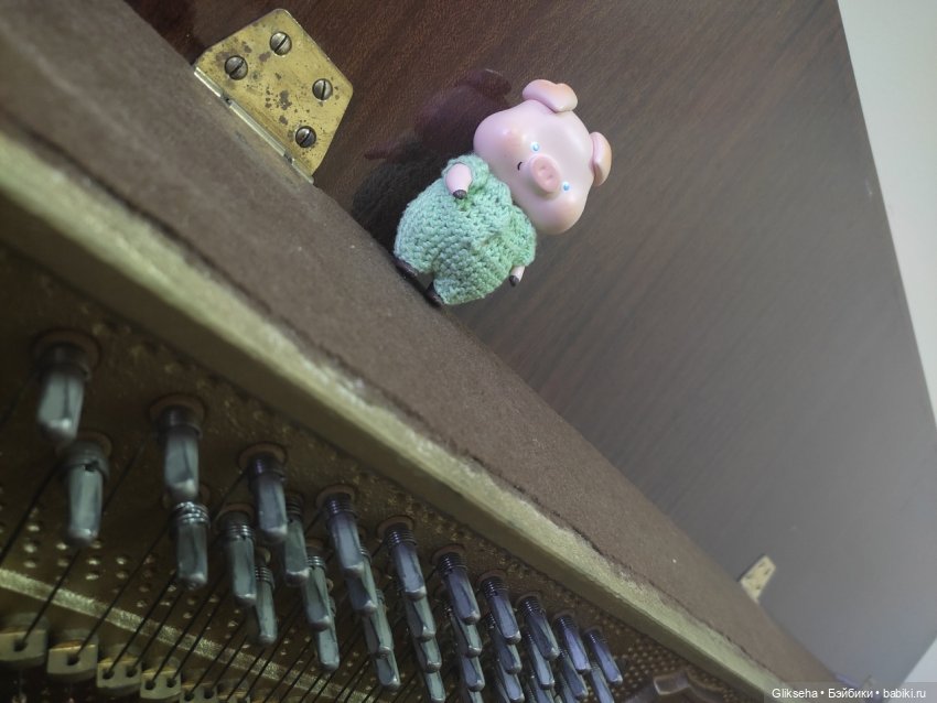 Чуня - блогер - студент. Или как Чуня учиться ездил