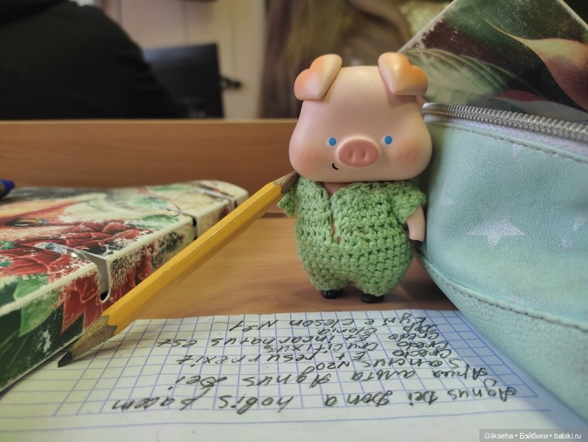 Чуня - блогер - студент. Или как Чуня учиться ездил