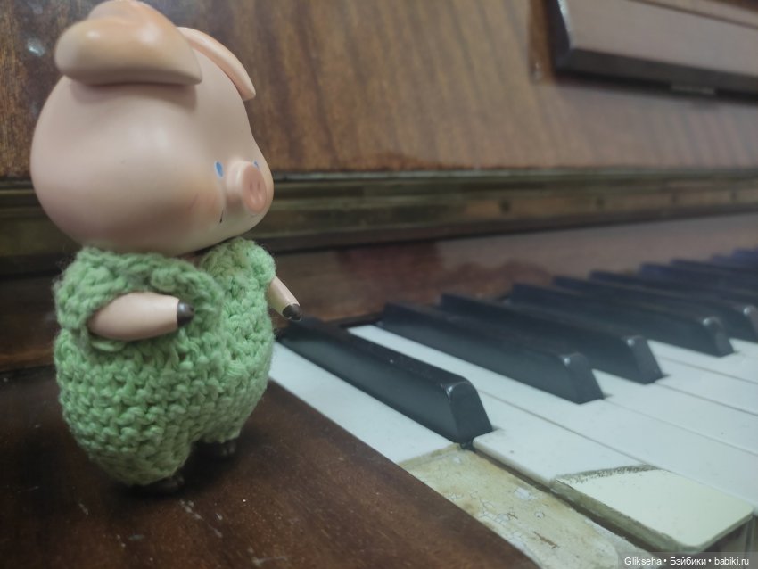 Чуня - блогер - студент. Или как Чуня учиться ездил