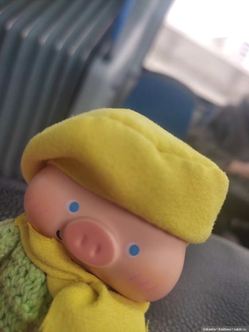 Чуня - блогер - студент. Или как Чуня учиться ездил (фото 4)