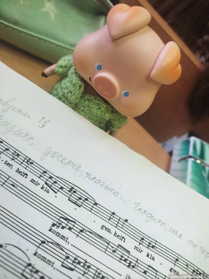 Чуня - блогер - студент. Или как Чуня учиться ездил