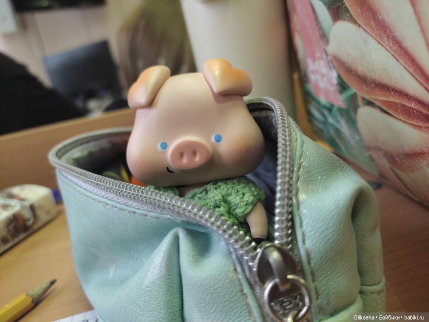 Чуня - блогер - студент. Или как Чуня учиться ездил