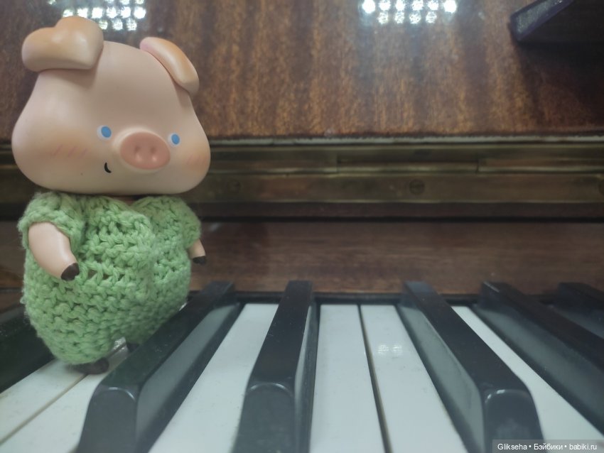 Чуня - блогер - студент. Или как Чуня учиться ездил