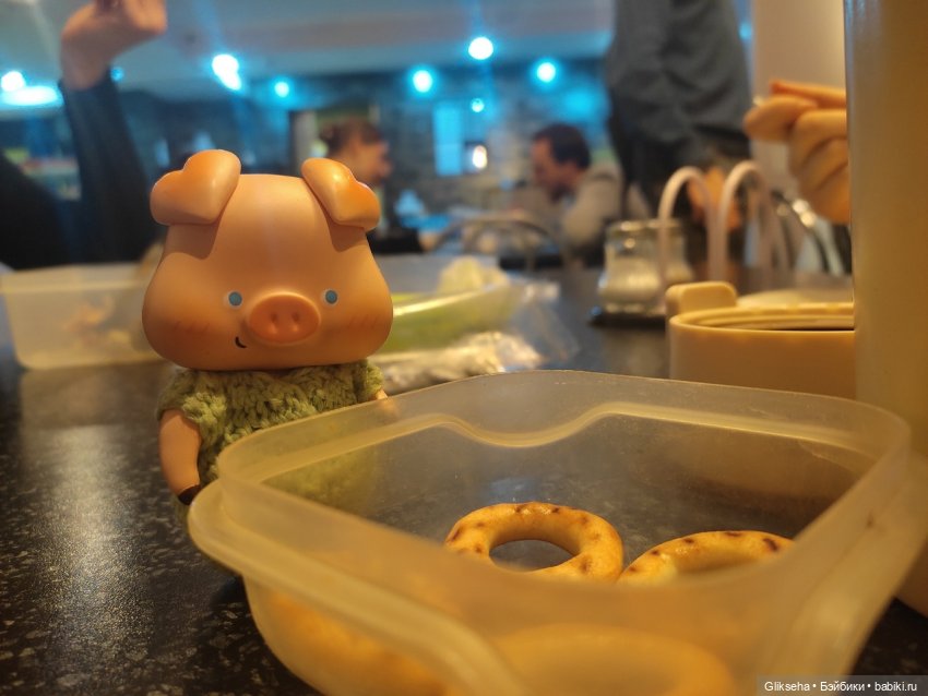 Чуня - блогер - студент. Или как Чуня учиться ездил