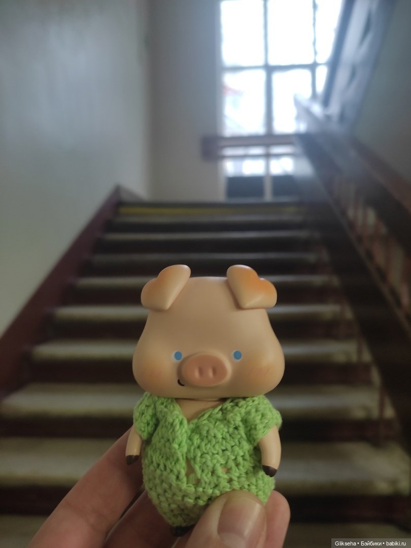 Чуня - блогер - студент. Или как Чуня учиться ездил