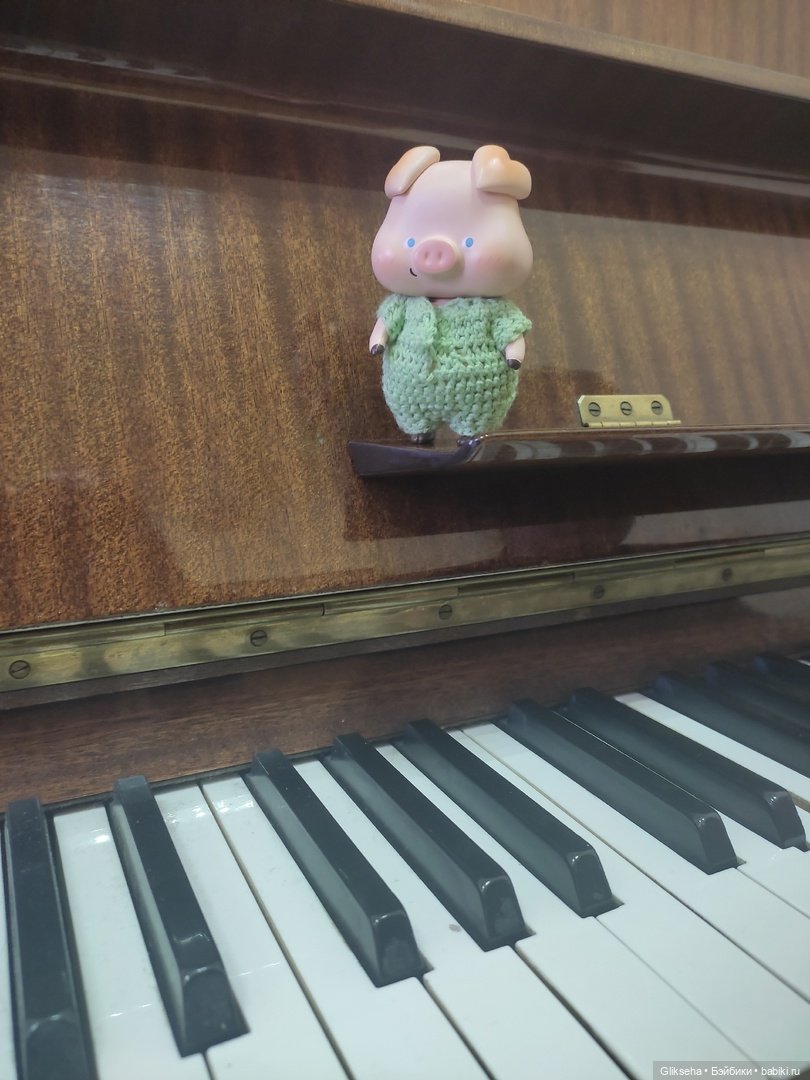 Чуня - блогер - студент. Или как Чуня учиться ездил