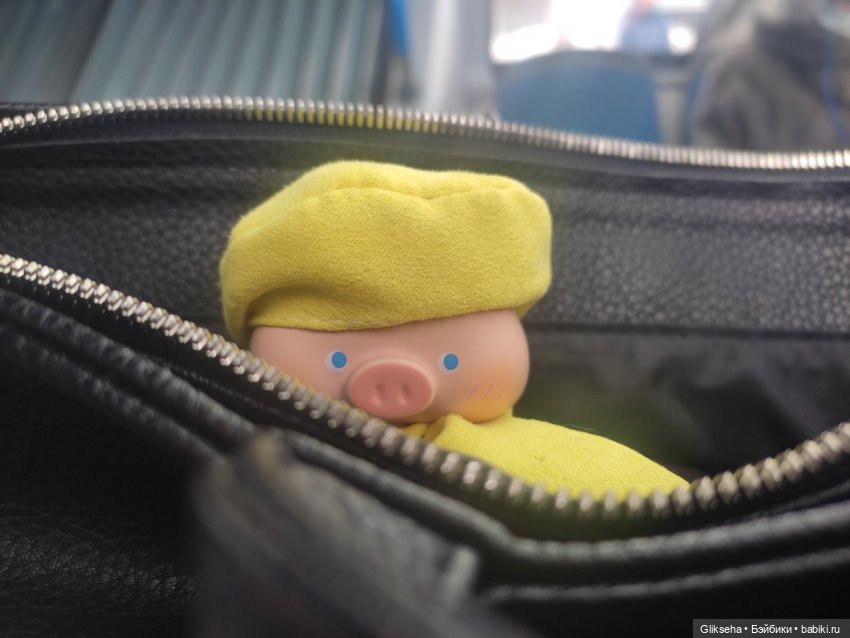 Чуня - блогер - студент. Или как Чуня учиться ездил (фото 2)