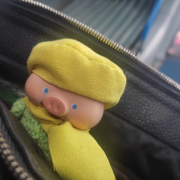 Чуня - блогер - студент. Или как Чуня учиться ездил