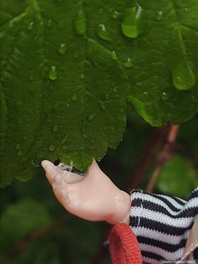 Как Ксюша в дождь гулять ходила (фото 6)