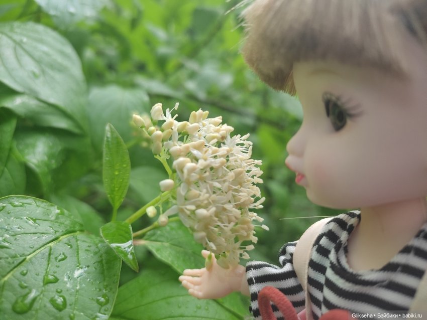 Как Ксюша в дождь гулять ходила