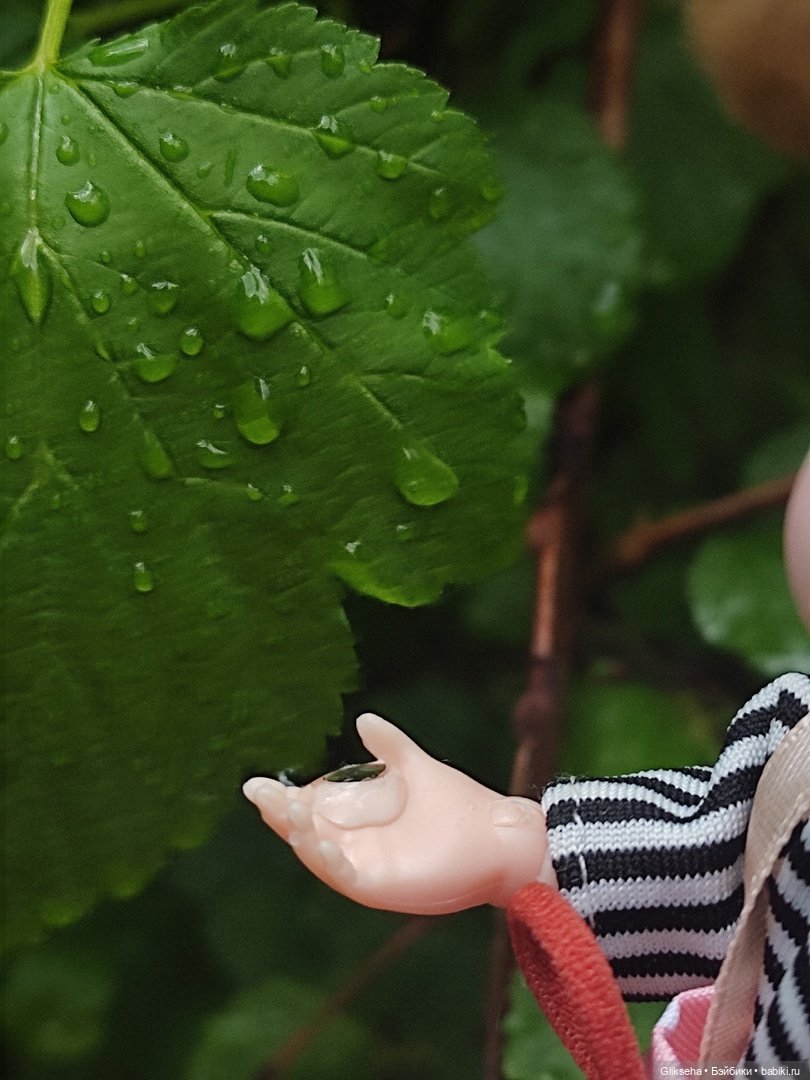 Как Ксюша в дождь гулять ходила (фото 7)