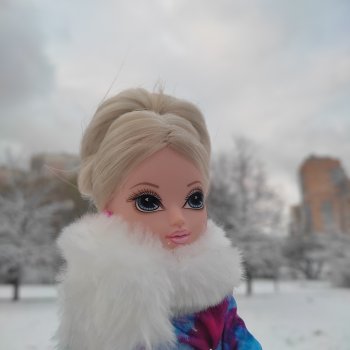 Праздничная ноябрьская зарисовка