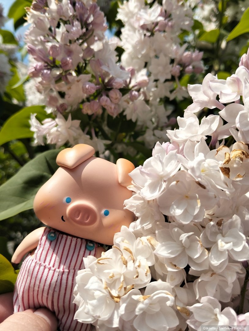 Чуня-блогер-студент и прогулка по весенней Москве (фото 8)