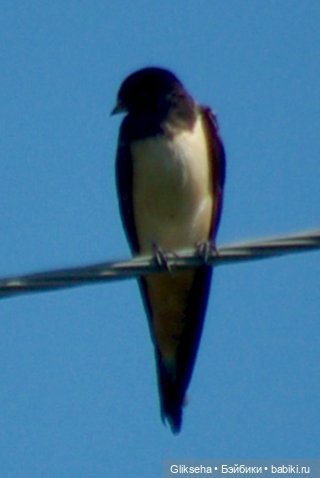 АВГУСТФЕСТ 2025. Спектакль ДЮЙМОВОЧКА