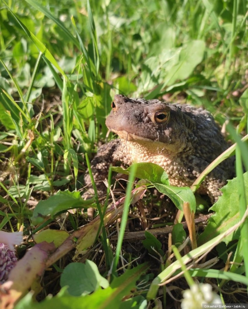 АВГУСТФЕСТ 2025. Спектакль ДЮЙМОВОЧКА (фото 5)