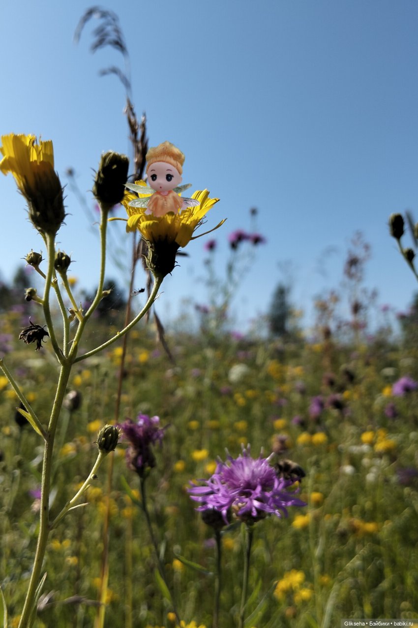 АВГУСТФЕСТ 2025. Спектакль ДЮЙМОВОЧКА