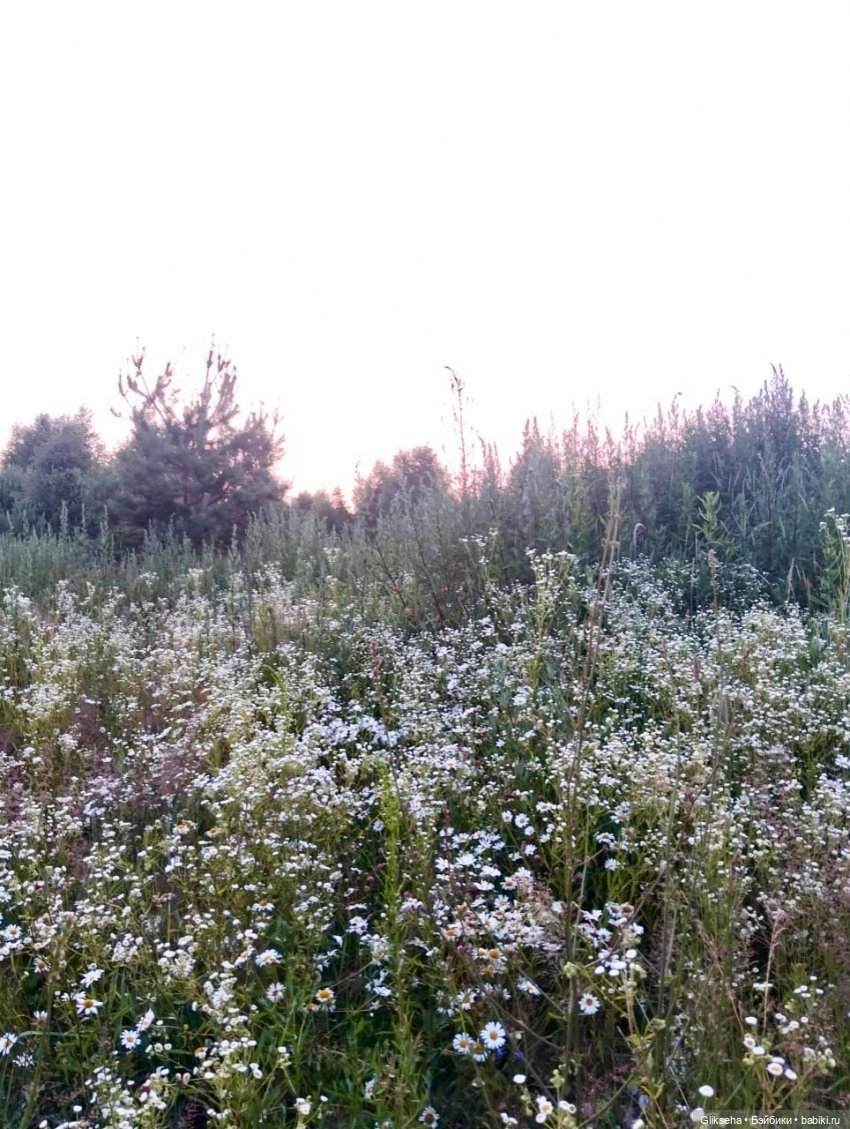 АВГУСТФЕСТ 2025. Спектакль ДЮЙМОВОЧКА