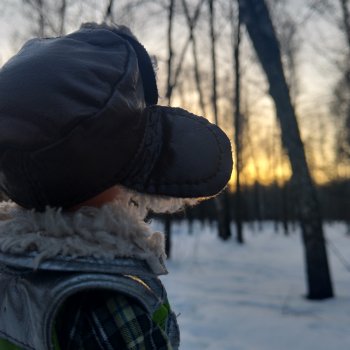 Моксик Джек и предчувствие весны