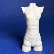 Манекен корсетный формат Bloom dart dolls